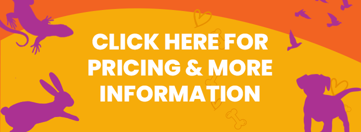 Looking for more pet information banner