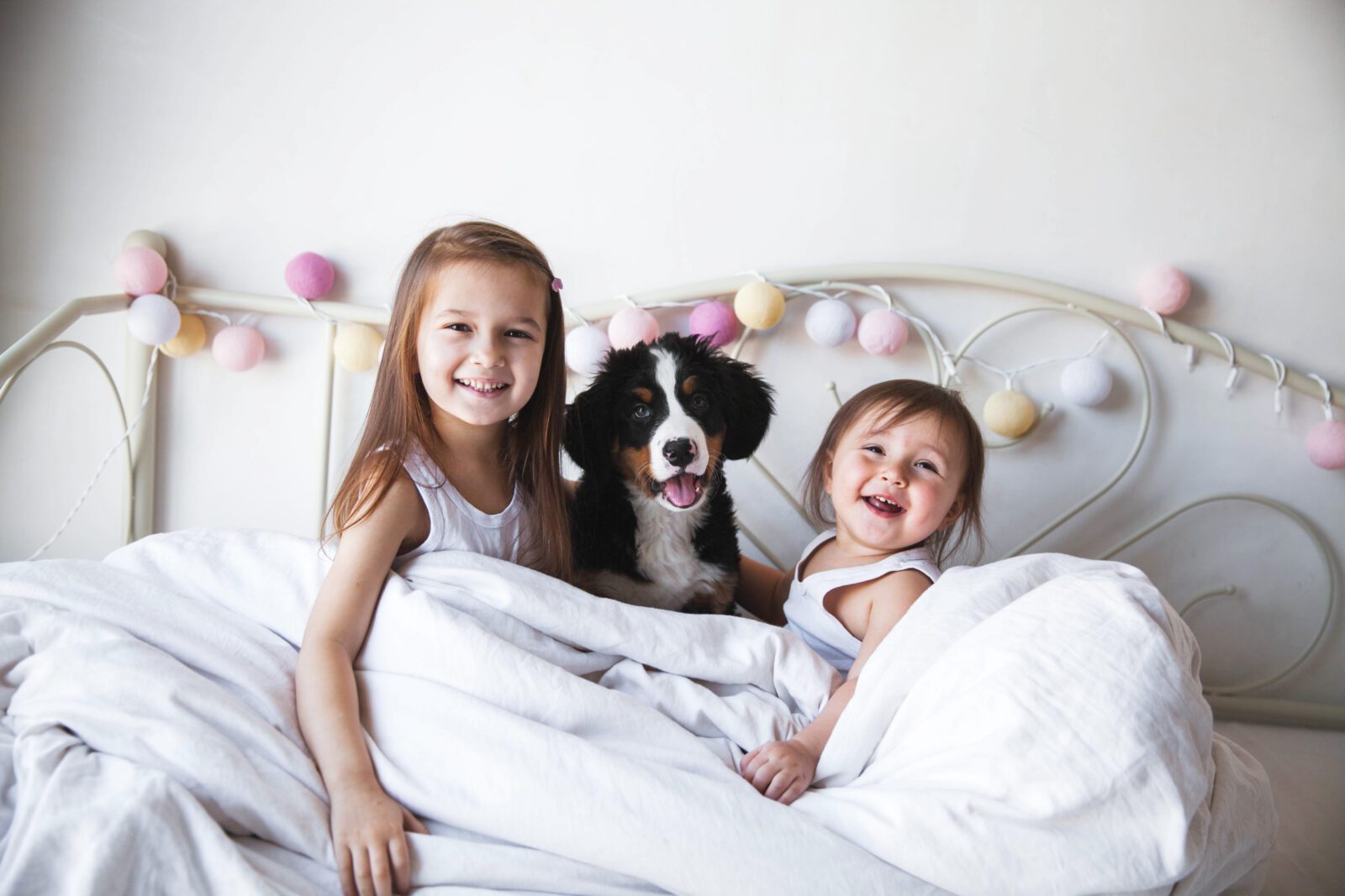 Trusted Pet Stores Since 1967 banner
