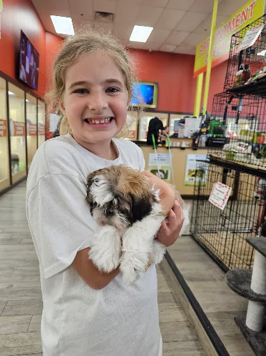 Young girl smiling while holding a fluffy puppy